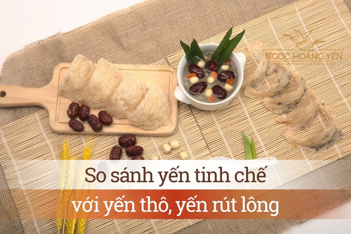 So sánh yến tinh chế với yến thô, yến rút lông