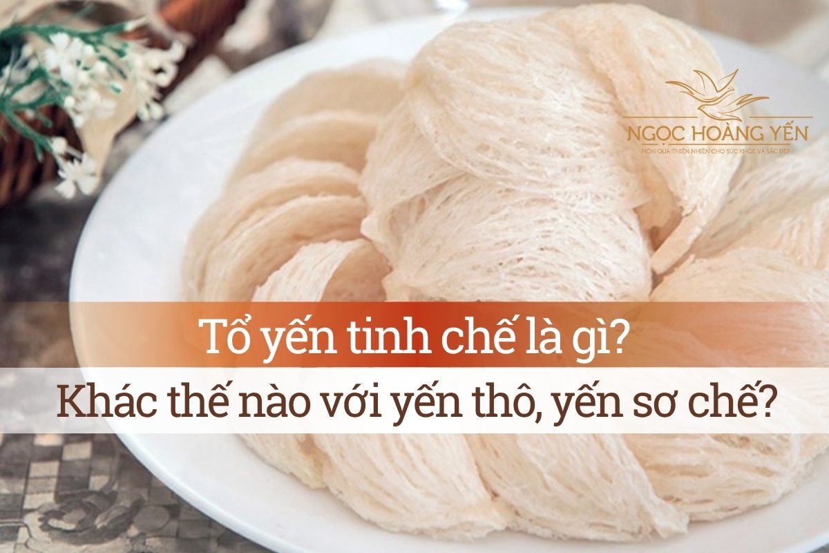 Tổ yến tinh chế là gì? Khác thế nào với yến thô, yến sơ chế?