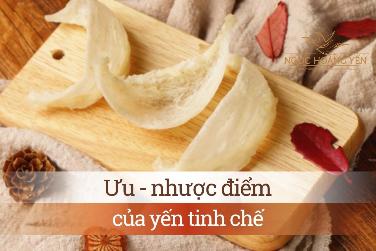 Ưu - nhược điểm của yến tinh chế