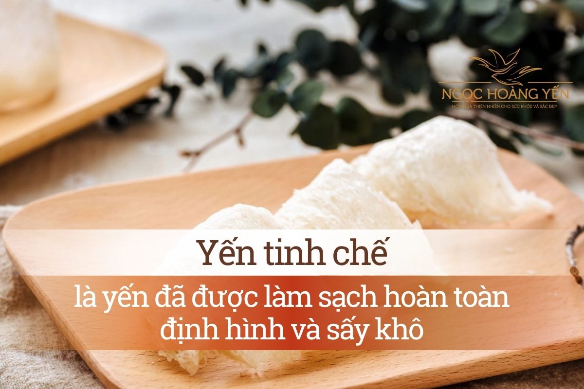Yến tinh chế là yến đã được làm sạch hoàn toàn, định hình và sấy khô