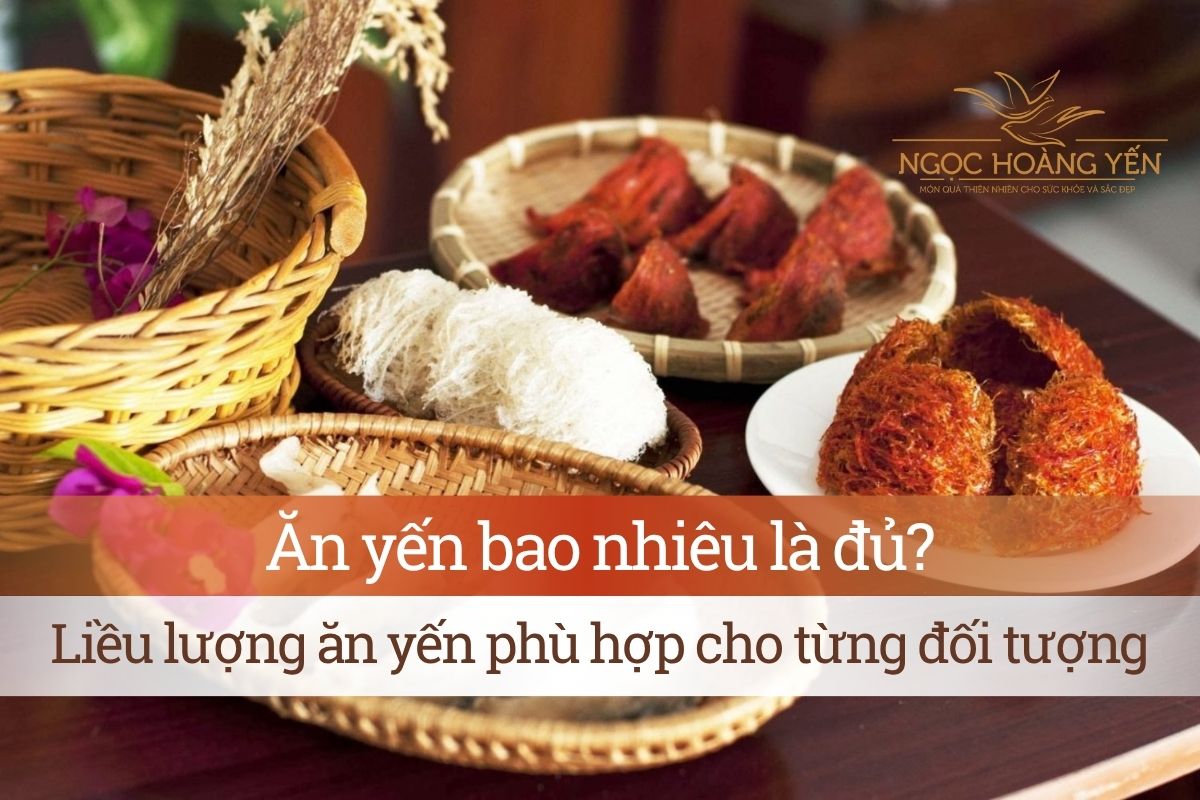 Ăn yến bao nhiêu là đủ? Liều lượng ăn yến phù hợp cho từng đối tượng