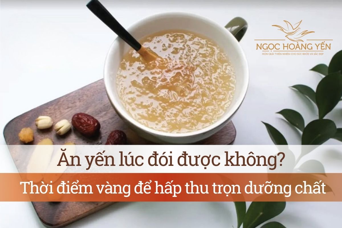 Ăn yến lúc đói được không? Thời điểm vàng để hấp thu trọn dưỡng chất