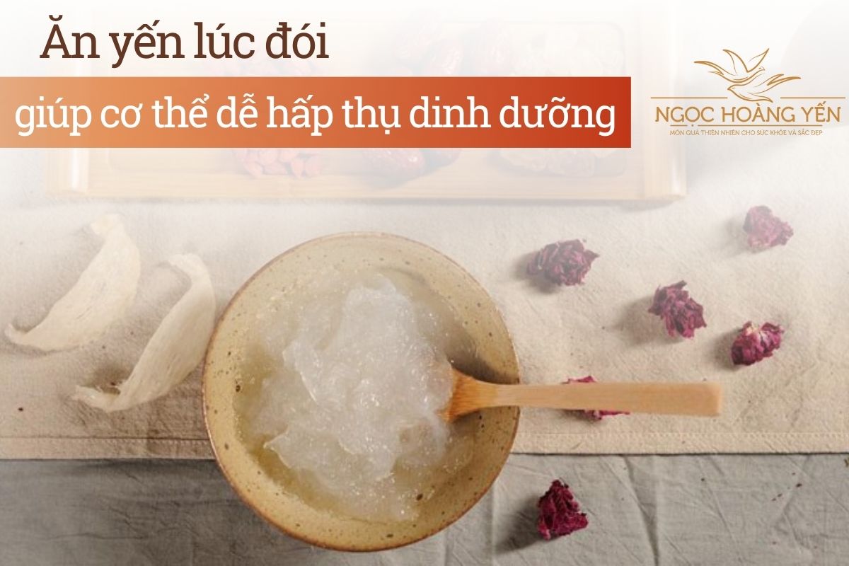 Ăn yến lúc đói giúp cơ thể dễ hấp thụ dinh dưỡng