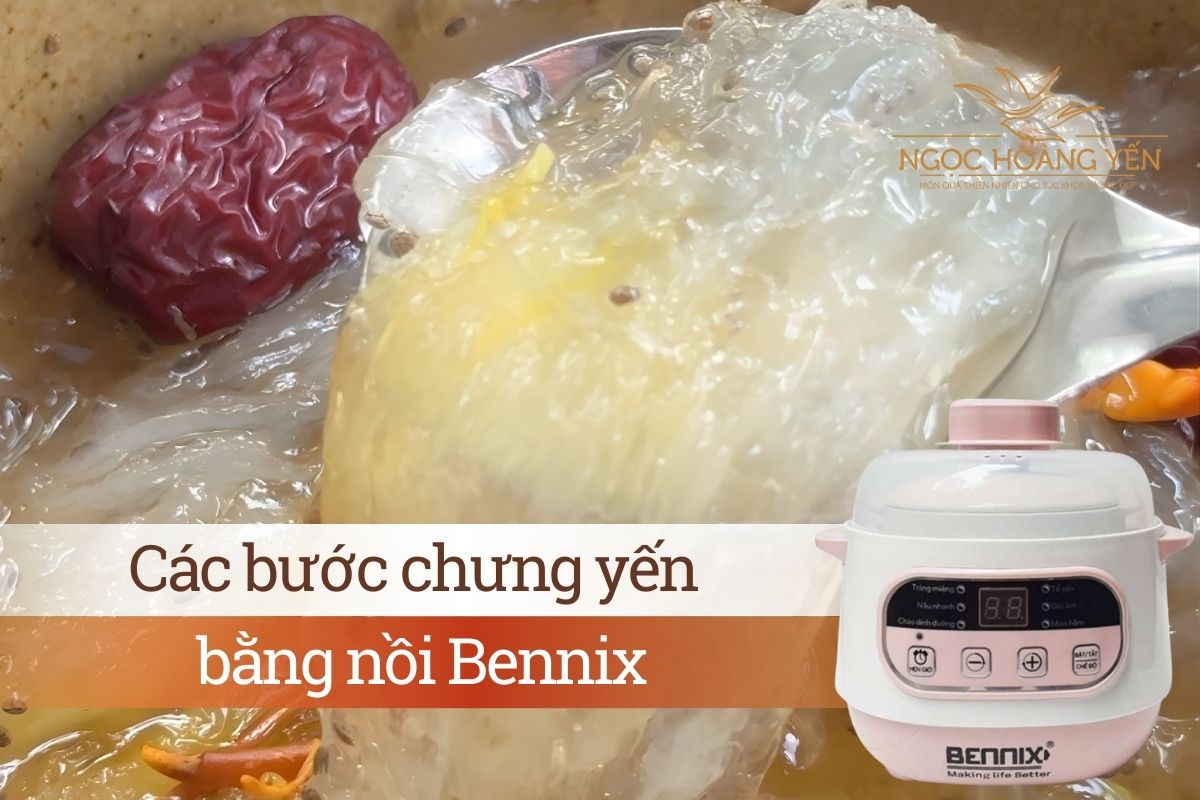 Các bước chưng yến bằng nồi Bennix