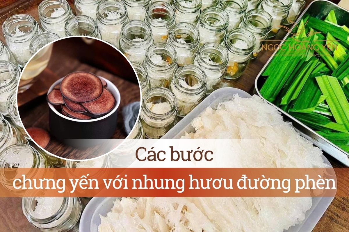 Các bước chưng yến với nhung hươu đường phèn