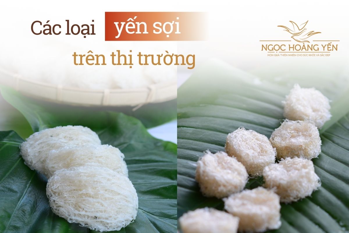 Các loại yến sợi trên thị trường