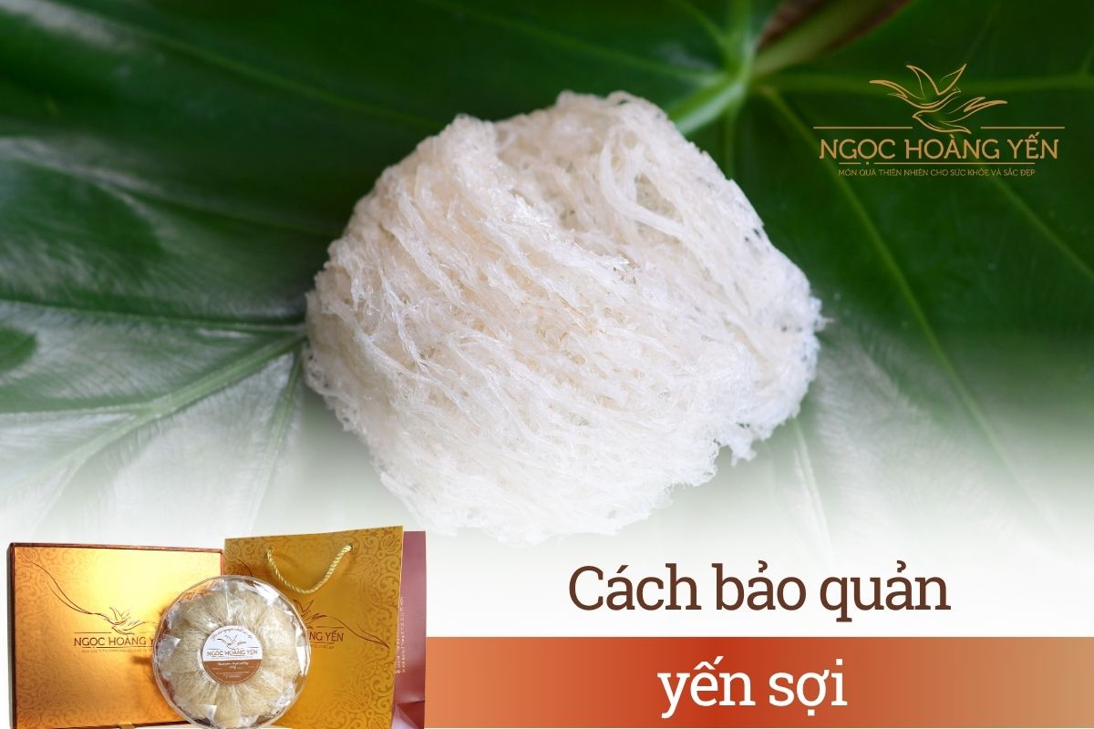 Cách bảo quản yến sợi