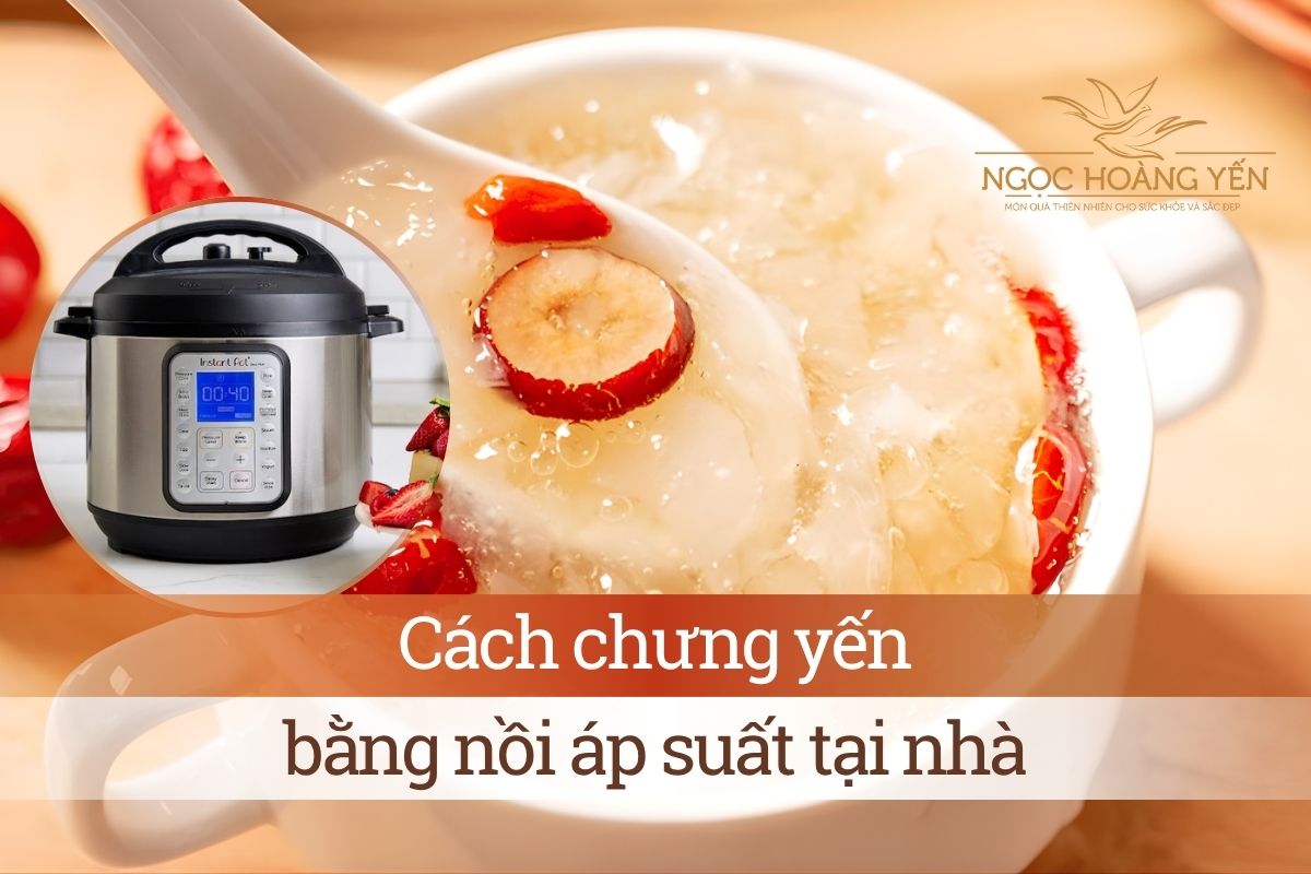 Cách chưng yến bằng nồi áp suất tại nhà
