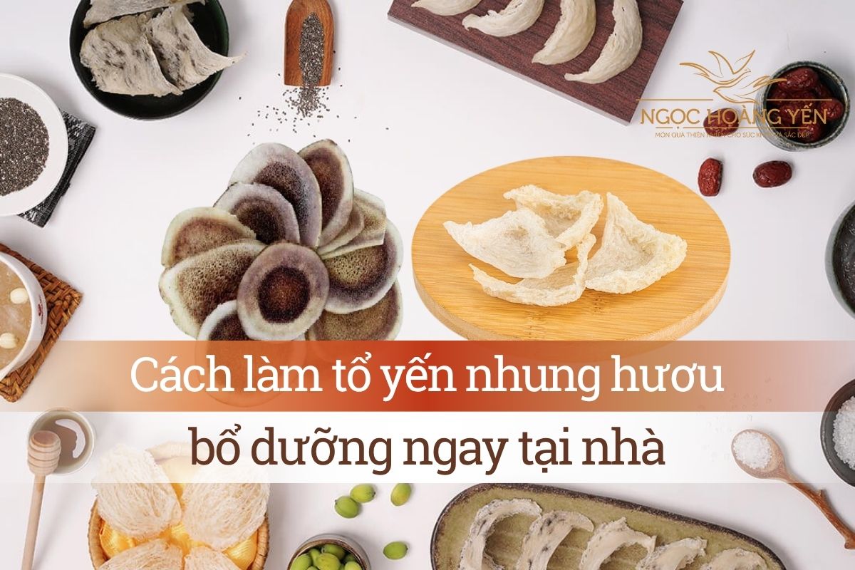 Cách làm tổ yến nhung hươu bổ dưỡng ngay tại nhà