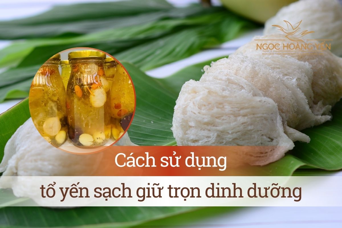 Cách sử dụng tổ yến sạch giữ trọn dinh dưỡng