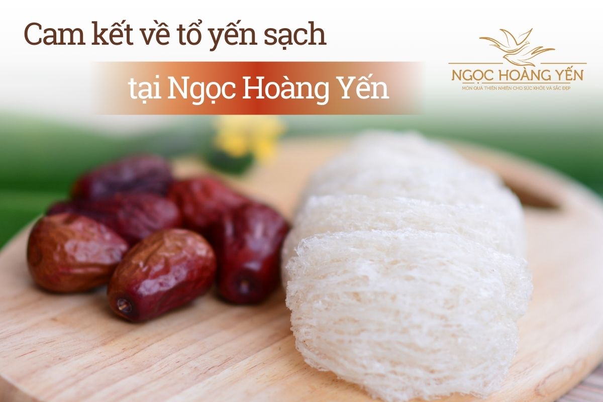 Cam kết về tổ yến sạch tại Ngọc Hoàng Yến