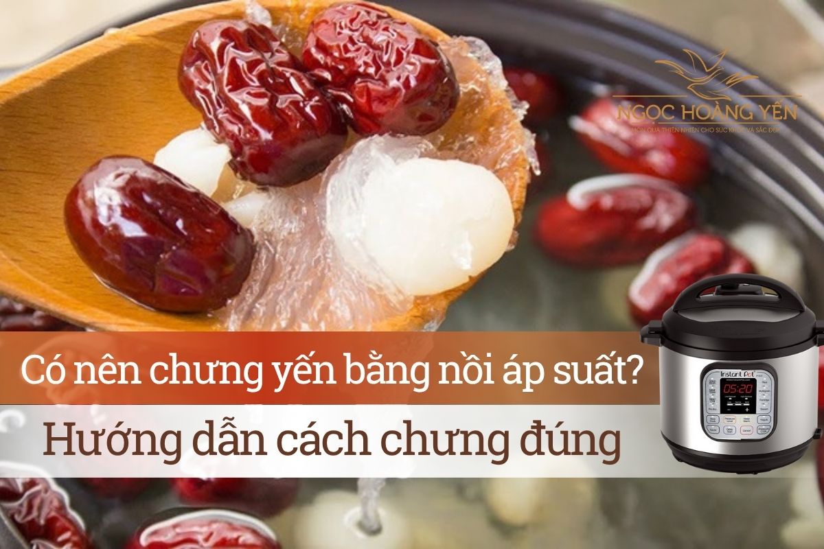 Có nên chưng yến bằng nồi áp suất? Hướng dẫn cách chưng đúng