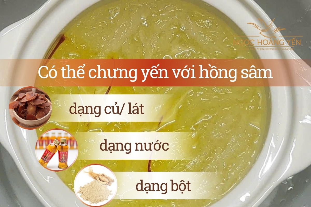 Có thể chưng yến với hồng sâm dạng củ/ lát, dạng nước hoặc dạng bột