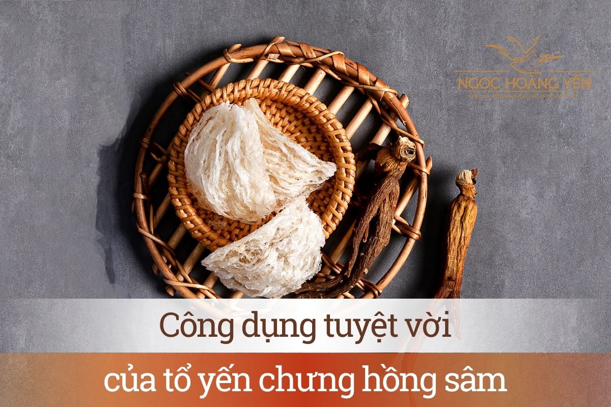 Công dụng tuyệt vời của tổ yến chưng hồng sâm