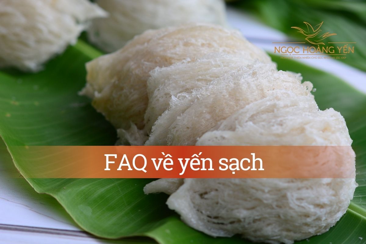 FAQ về yến sạch