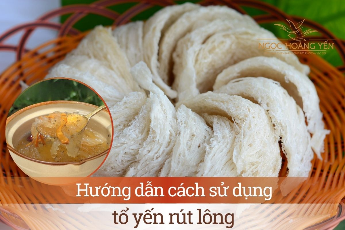 Hướng dẫn cách sử dụng tổ yến rút lông