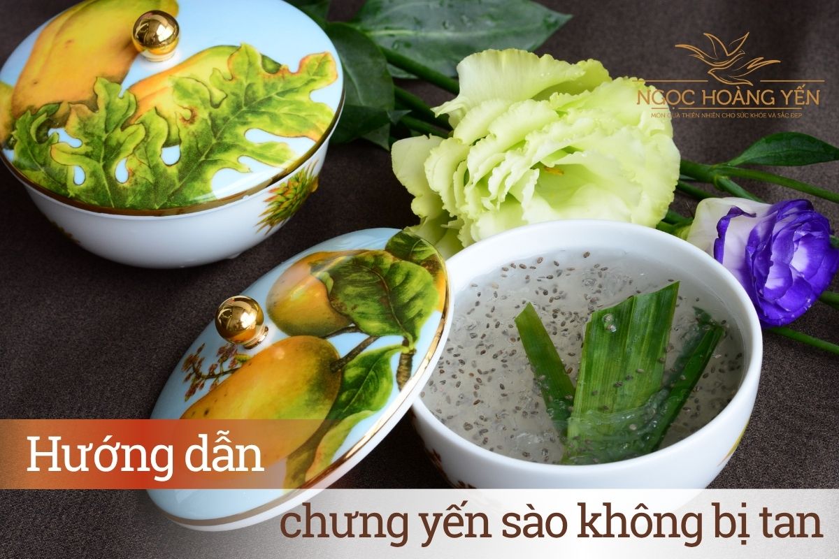 Hướng dẫn chưng yến sào không bị tan