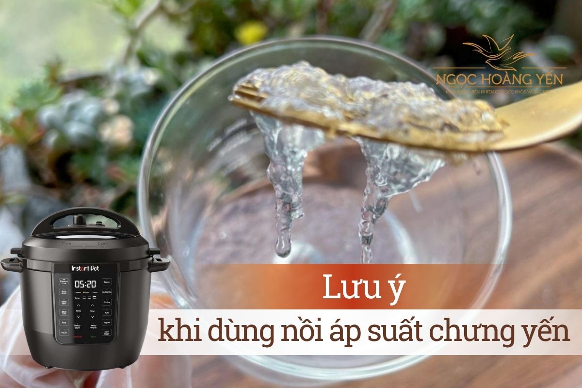 Lưu ý khi dùng nồi áp suất chưng yến