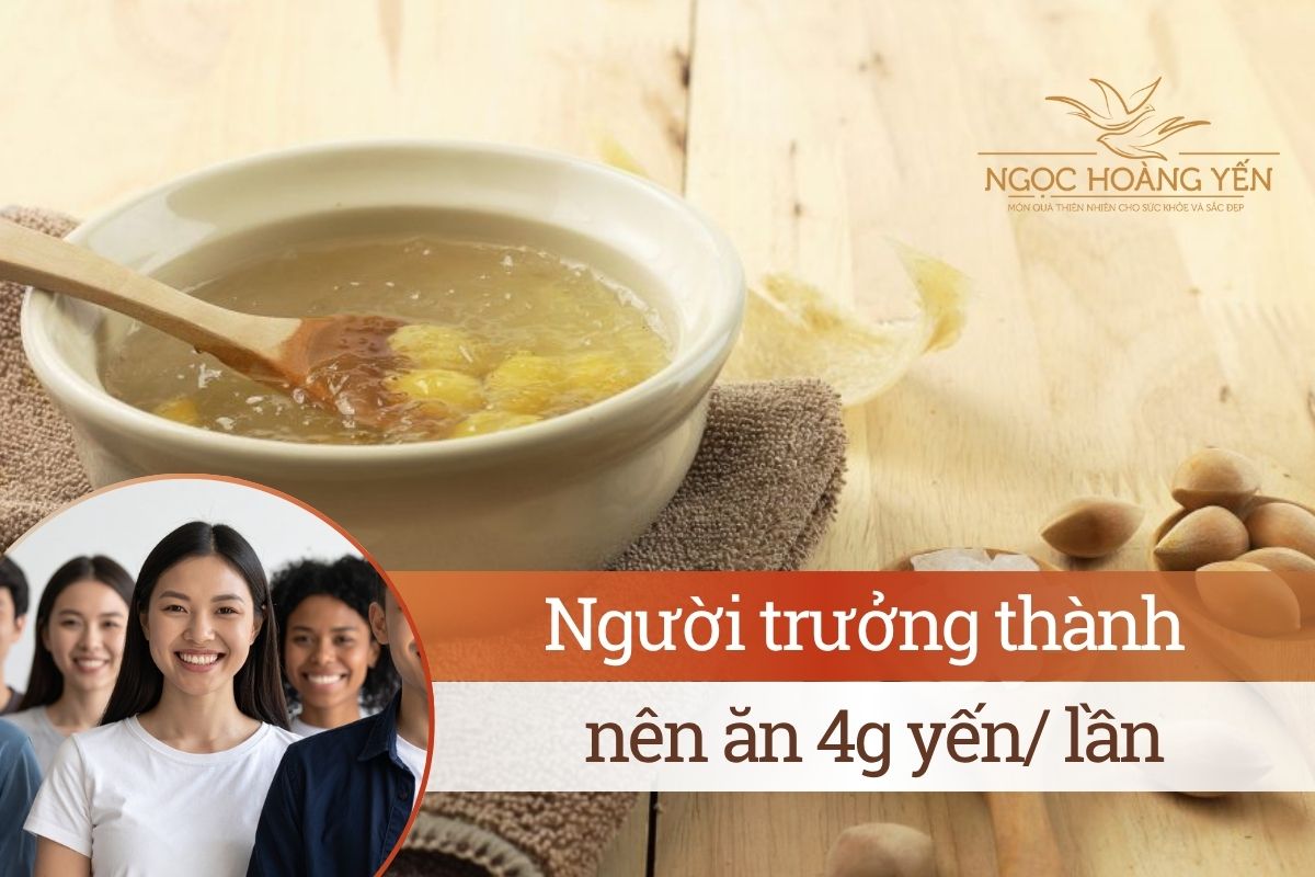 Người trưởng thành nên ăn 4g yến/ lần