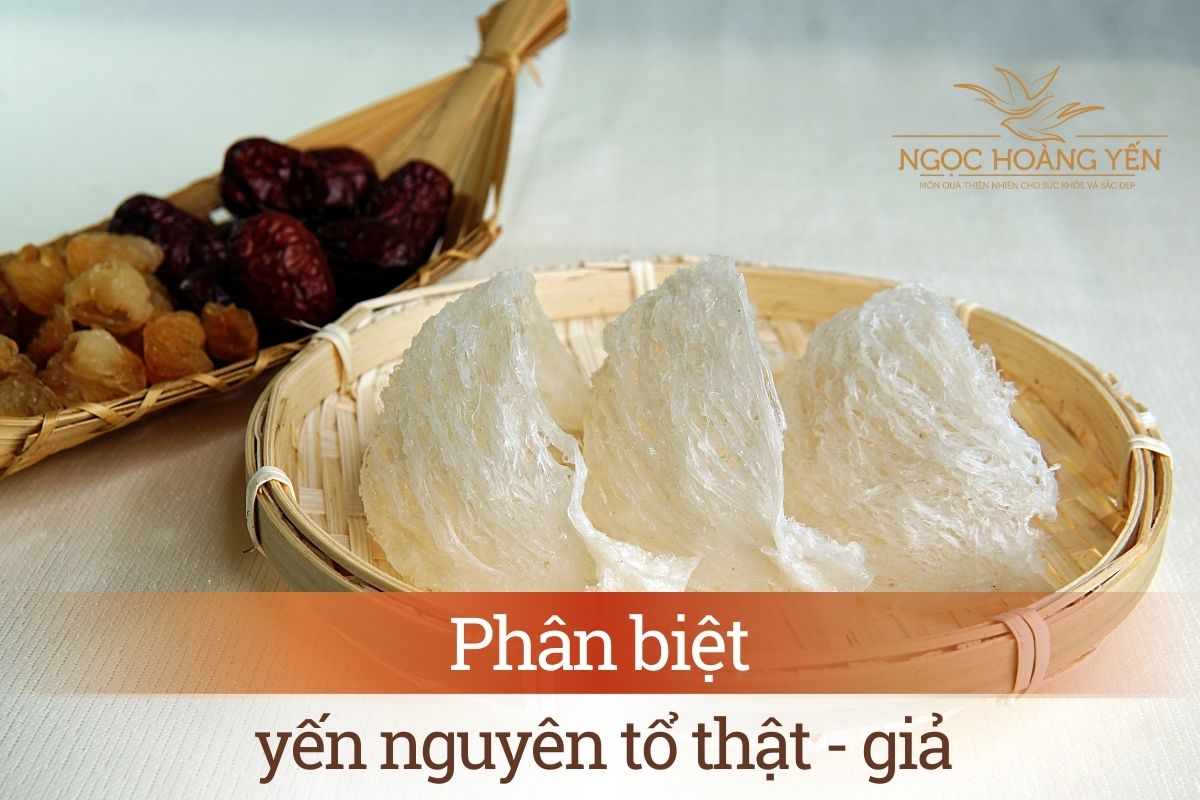 Phân biệt yến nguyên tổ thật - giả