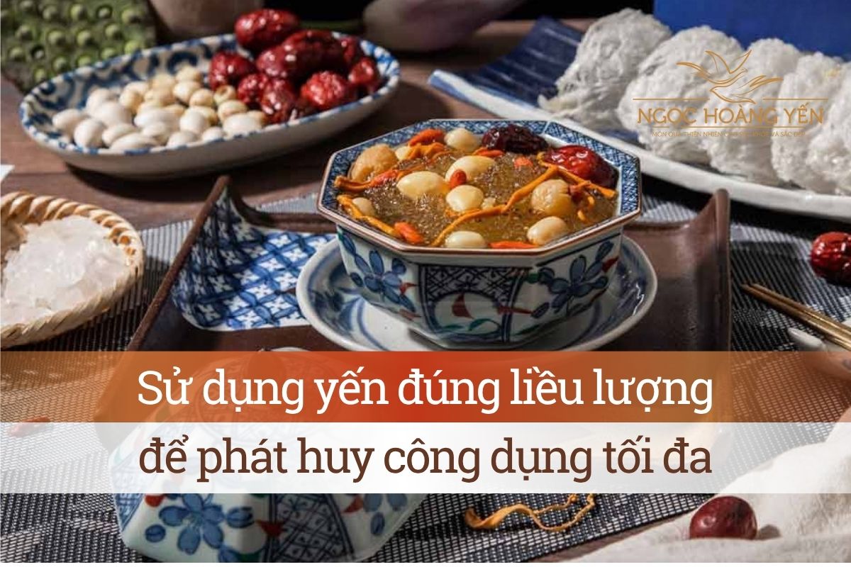 Sử dụng yến đúng liều lượng để phát huy công dụng tối đa