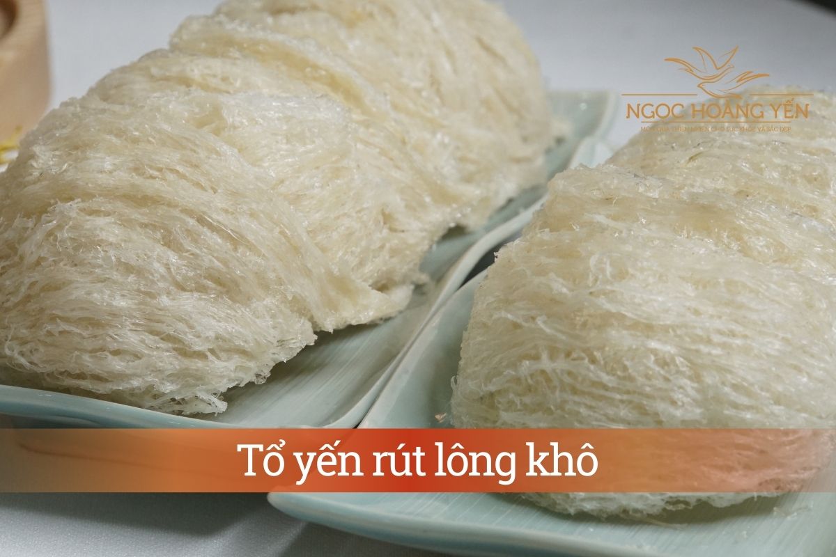 Tổ yến rút lông khô