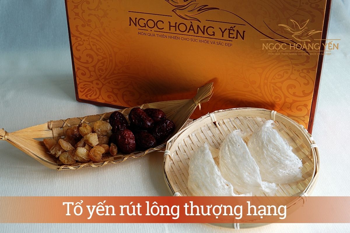Tổ yến rút lông thượng hạng