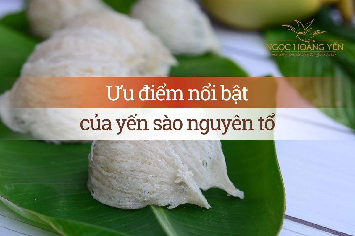 Ưu điểm nổi bật của yến sào nguyên tổ