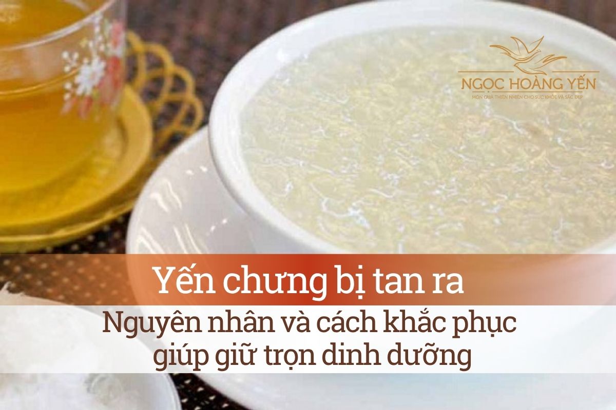 Yến chưng bị tan ra: Nguyên nhân và cách khắc phục giúp giữ trọn dinh dưỡng
