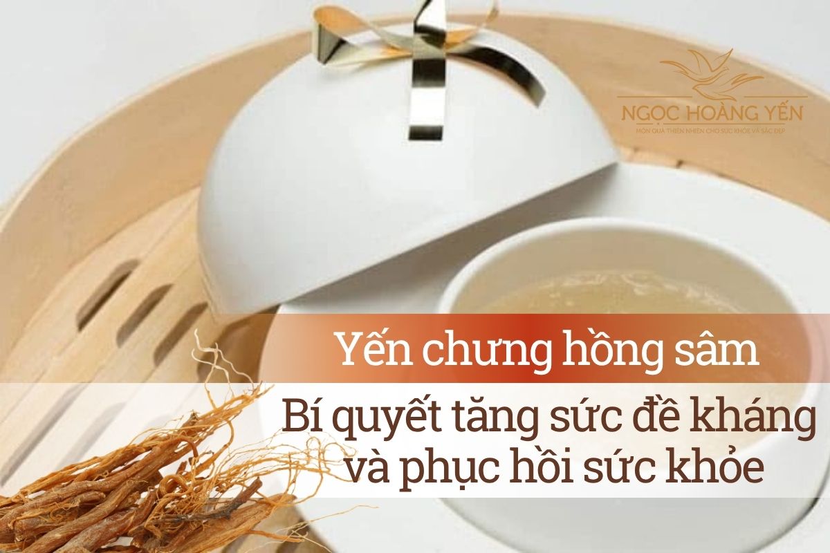Yến chưng hồng sâm - Bí quyết tăng sức đề kháng và phục hồi sức khỏe