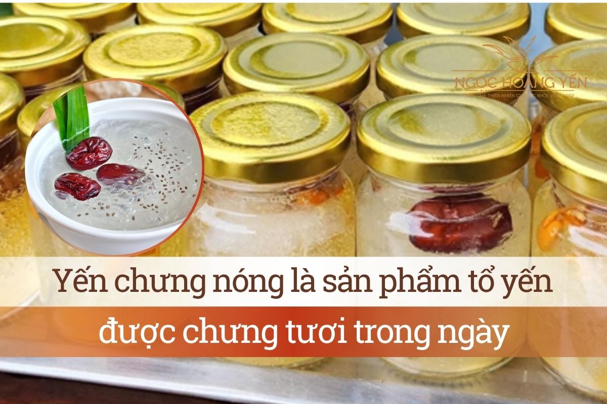 Yến chưng nóng là sản phẩm tổ yến được chưng tươi trong ngày