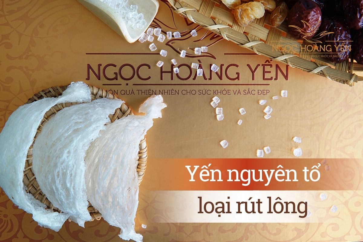 Yến nguyên tổ loại rút lông
