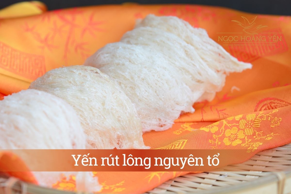 Yến rút lông nguyên tổ
