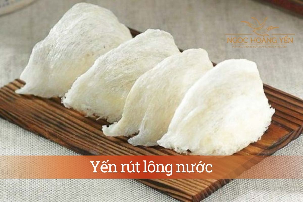 Yến rút lông nước