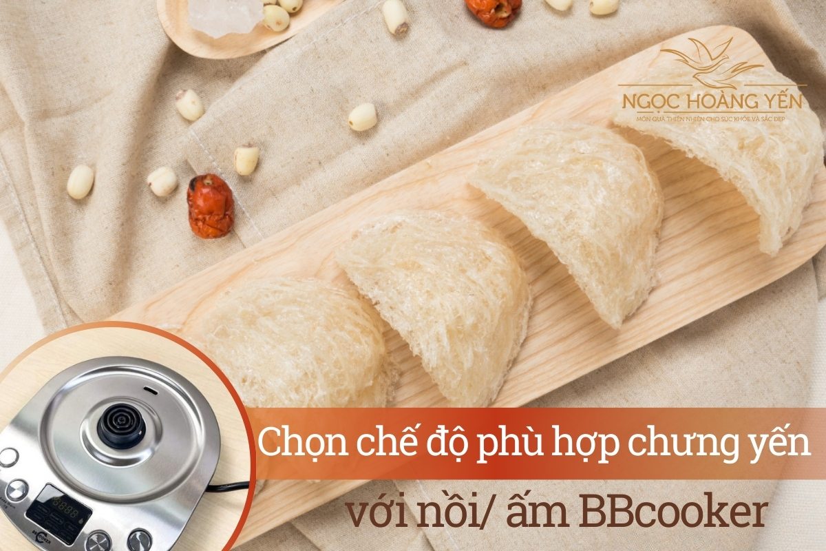 Chọn chế độ phù hợp chưng yến với nồi/ ấm BBcooker