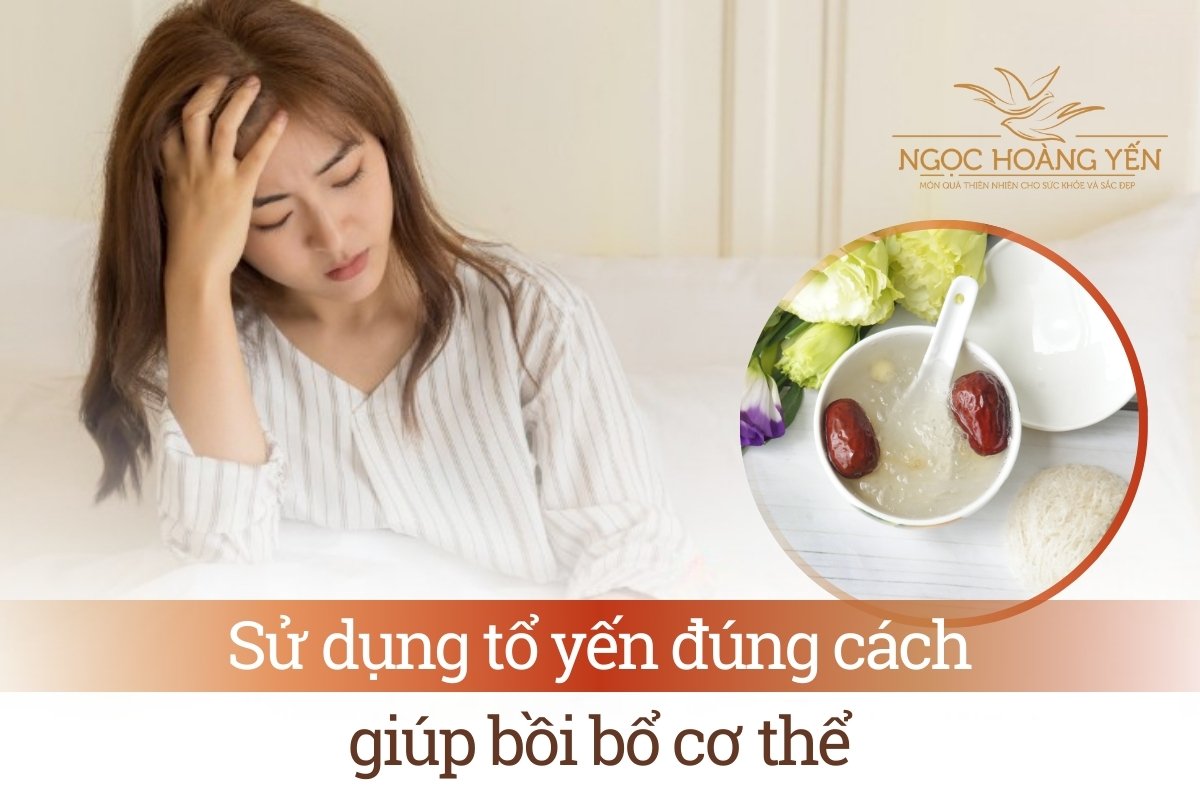 Sử dụng tổ yến đúng cách giúp bồi bổ cơ thể