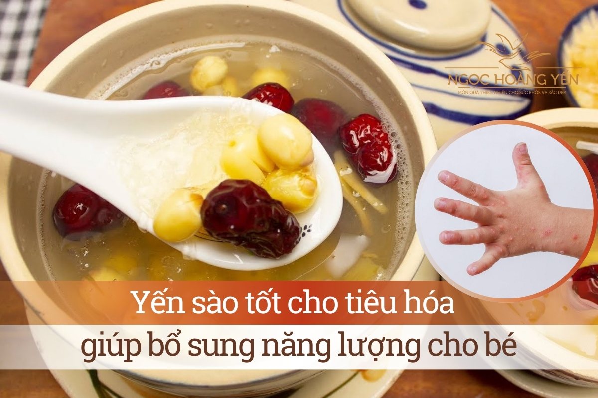 Yến sào tốt cho tiêu hóa, giúp bổ sung năng lượng cho bé