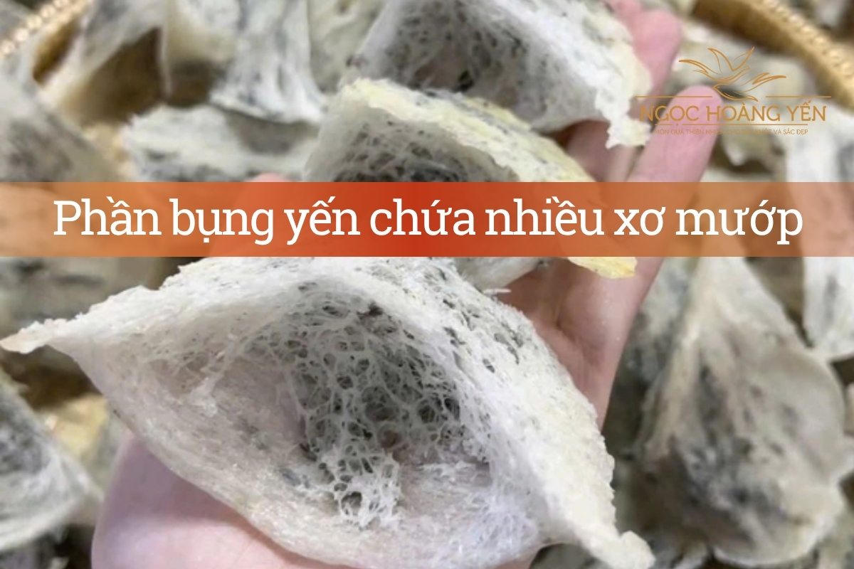 Phần bụng yến chứa nhiều xơ mướp