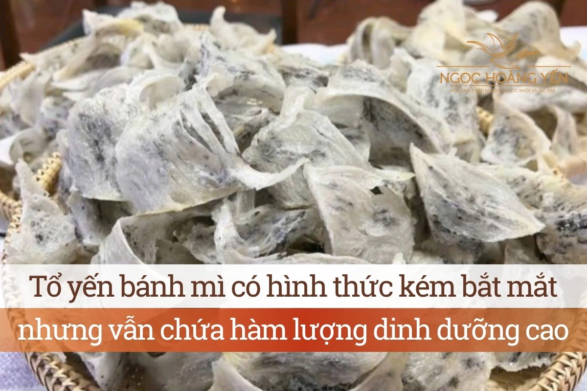 Tổ yến bánh mì có hình thức kém bắt mắt nhưng vẫn chứa hàm lượng dinh dưỡng cao
