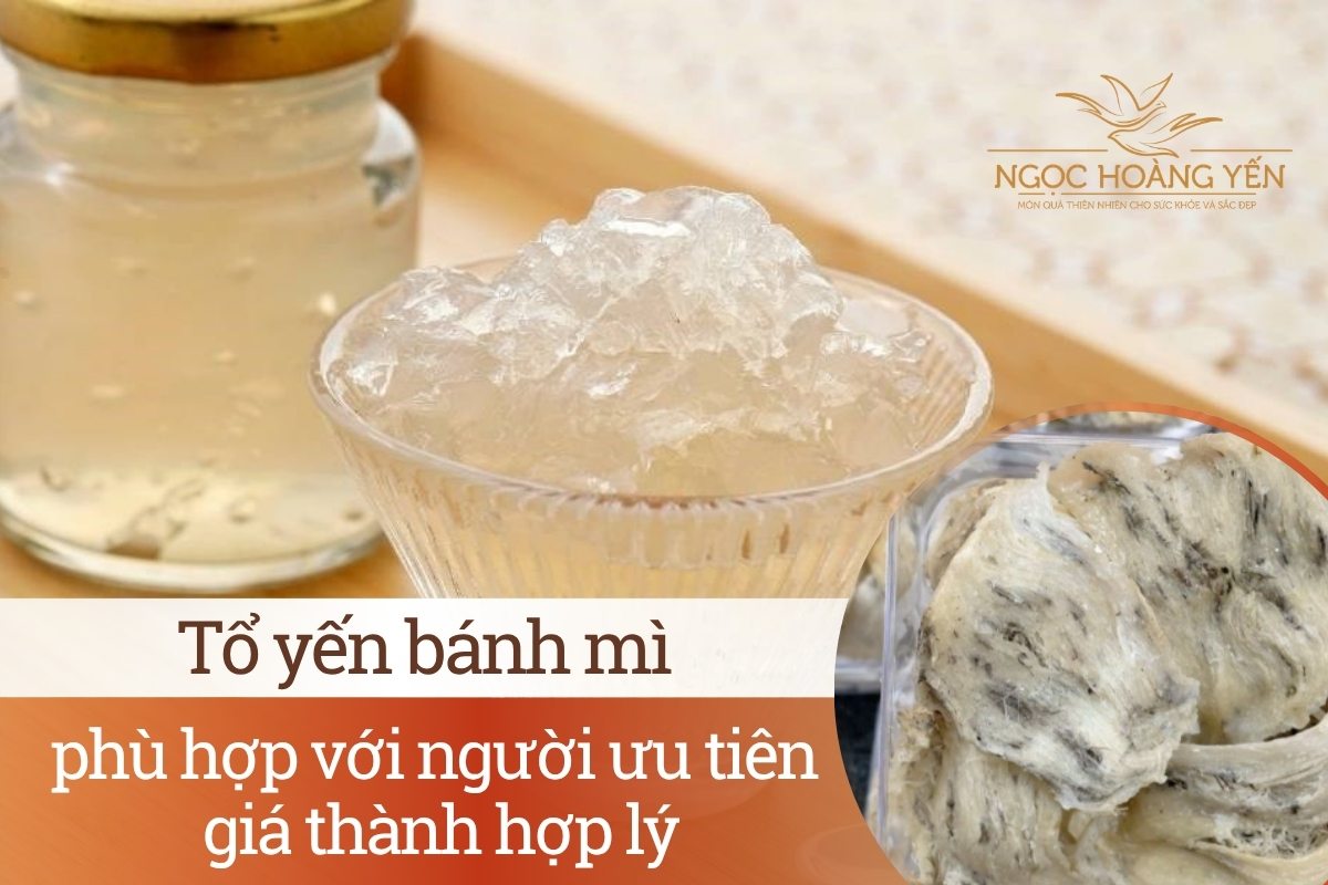 Tổ yến bánh mì phù hợp với người ưu tiên giá thành hợp lý