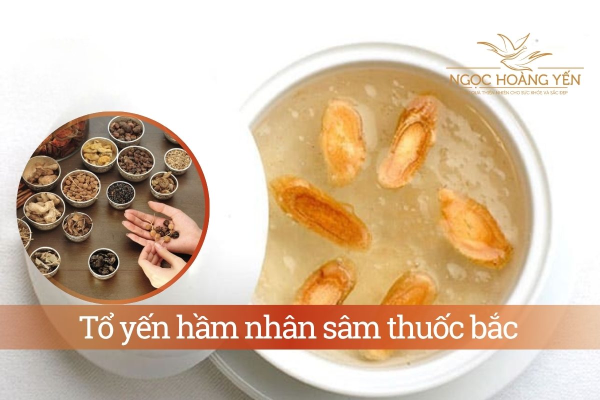 Tổ yến hầm nhân sâm thuốc bắc