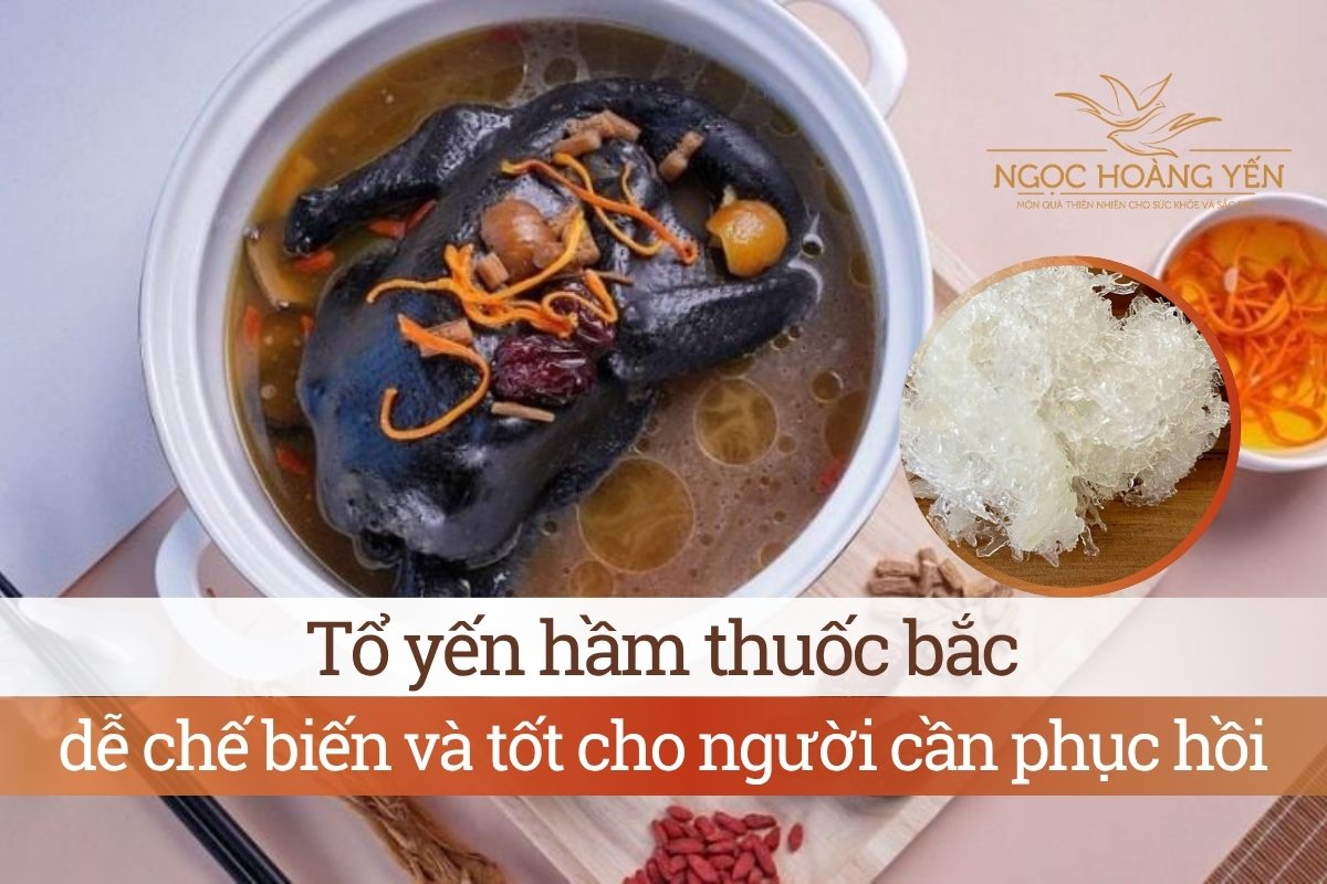 Tổ yến hầm thuốc bắc dễ chế biến và tốt cho người cần phục hồi