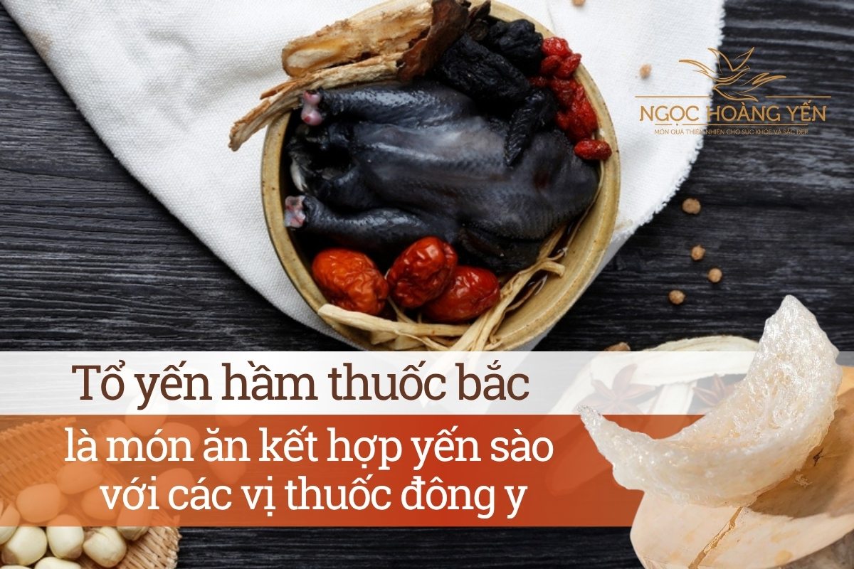 Tổ yến hầm thuốc bắc là món ăn kết hợp yến sào với các vị thuốc đông y
