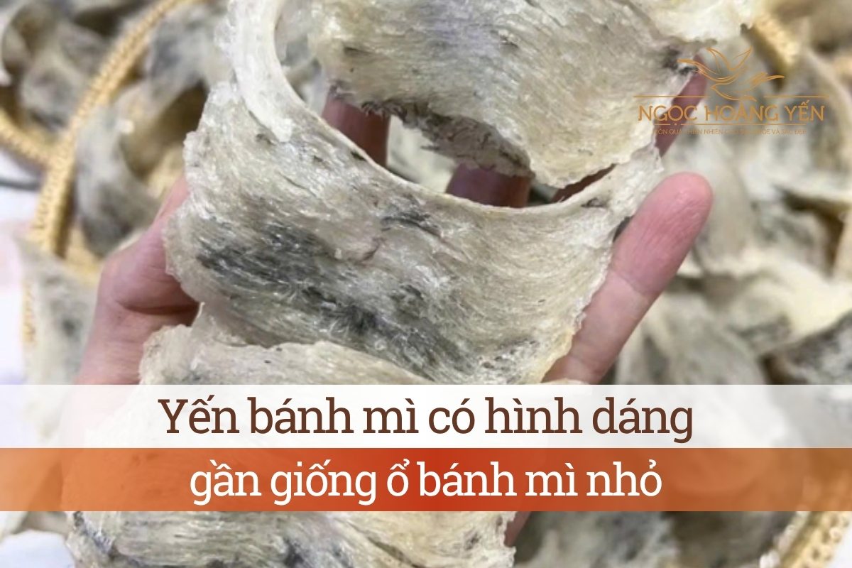 Yến bánh mì có hình dáng gần giống ổ bánh mì nhỏ
