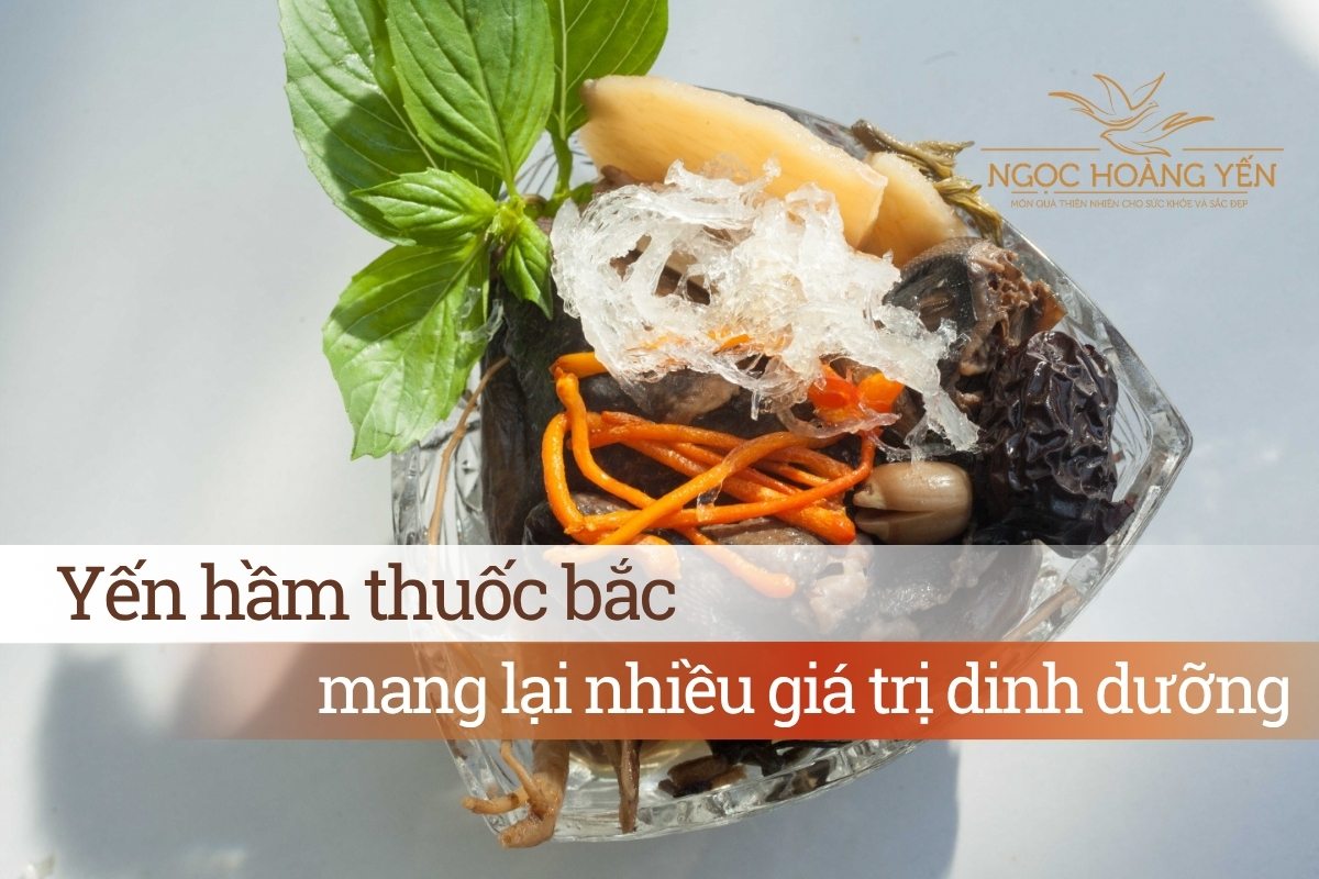 Yến hầm thuốc bắc mang lại nhiều giá trị dinh dưỡng