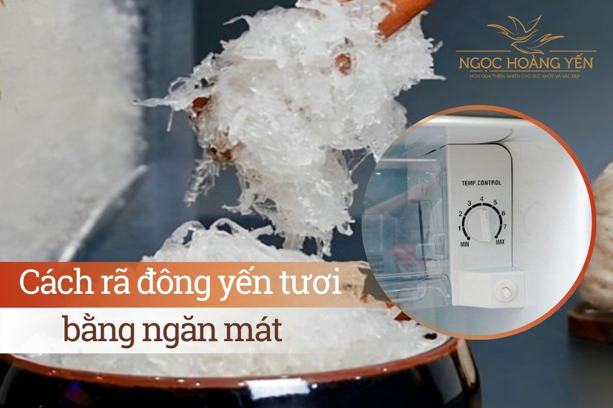 Cách rã đông yến tươi bằng ngăn mát