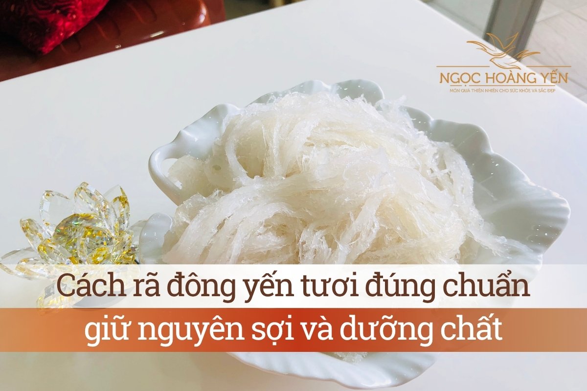 Cách rã đông yến tươi đúng chuẩn giữ nguyên sợi và dưỡng chất