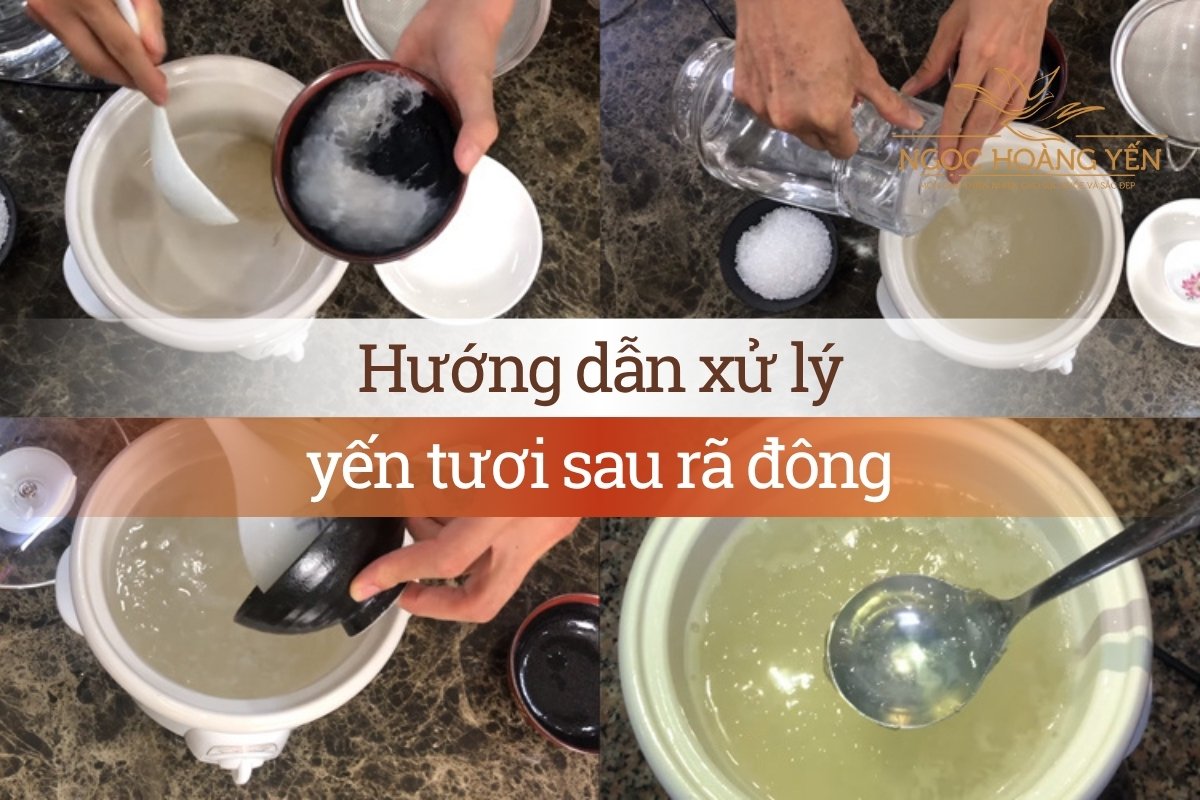 Hướng dẫn xử lý yến tươi sau rã đông