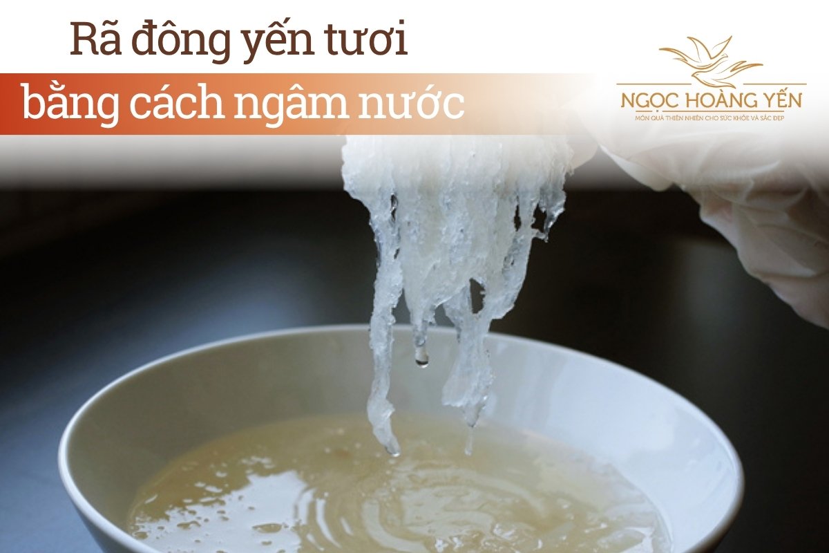 Rã đông yến tươi bằng cách ngâm nước