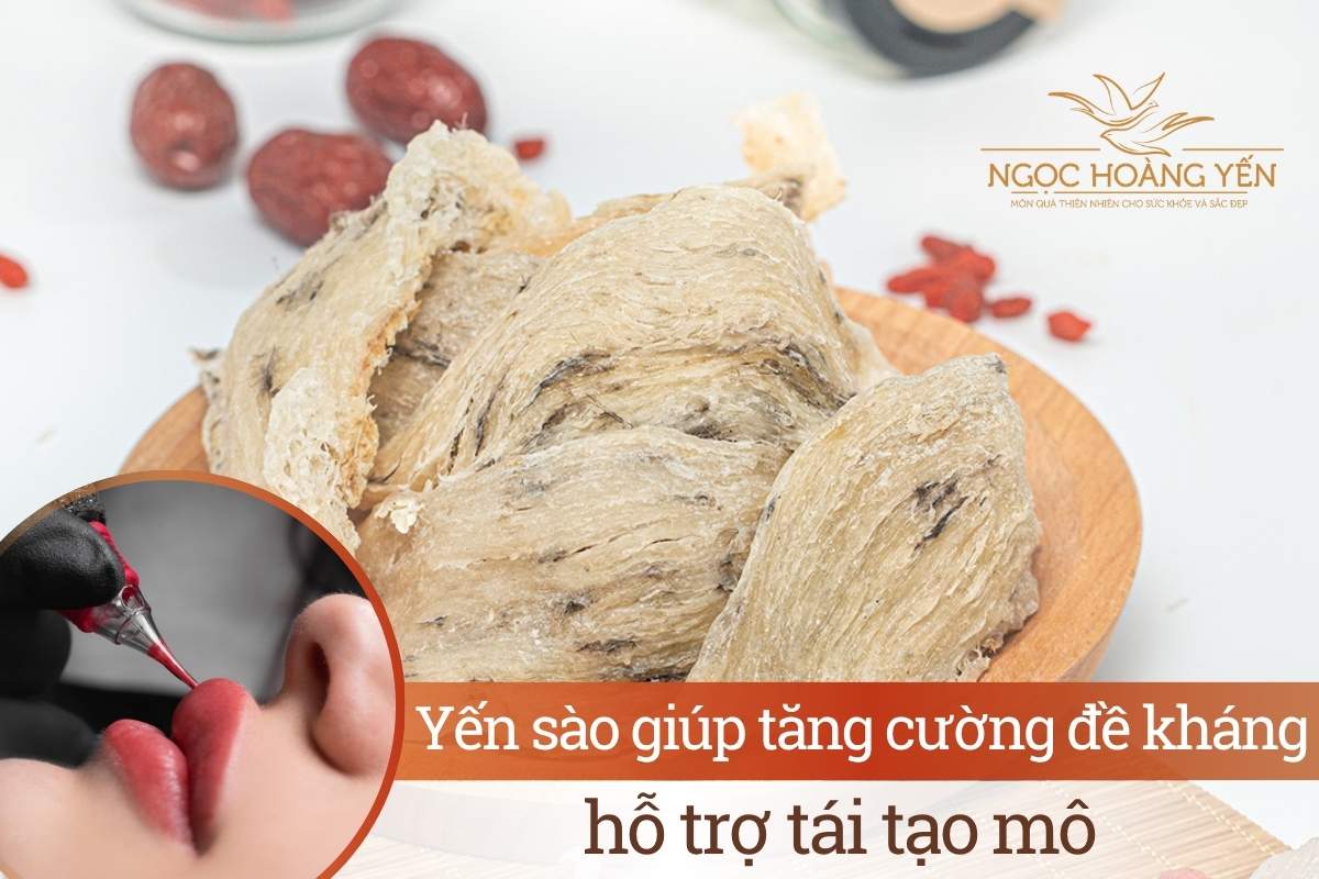 Yến sào giúp tăng cường đề kháng, hỗ trợ tái tạo mô